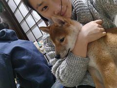 -逗柴咖啡屋·狗咖猫咖宠物桌游