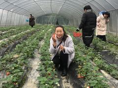 -洪湖家庭农场·团建·露营·会议
