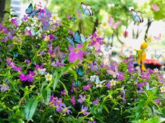 -HELLO 27 意面·沙拉·帕尼尼