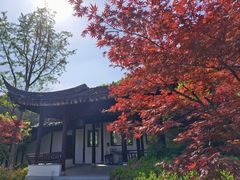 -苏州上方山国家森林公园