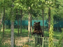 -秦皇岛野生动物园