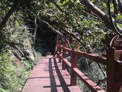 -祁门牯牛降观音堂风景区