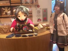 -济州岛泰迪熊博物馆