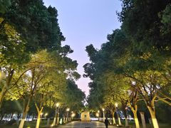 -天鹅湖体育公园