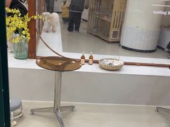 -共舞时光猫咖·狗咖(新街口店)