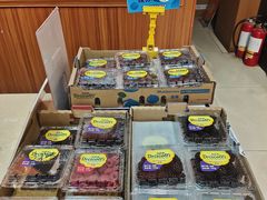 -果叔叁拾加(海师大店)