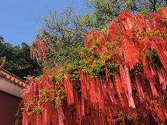 -广州莲花山旅游区
