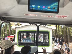 -日照海滨国家森林公园