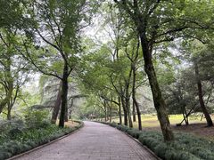 -杭州植物园
