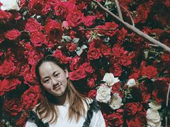 -蓝山四季西餐植物店