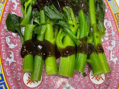 -大中鱼翅 Taitong Shark Fin