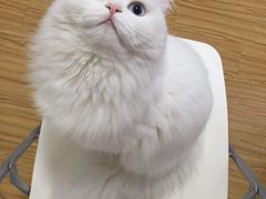 -必胜客(远大路店)