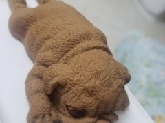 -鹏欣水游城