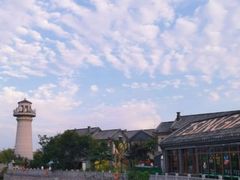 -渡海小渔村.老辈日照菜