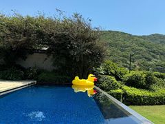 -舟山朱家尖威斯汀酒店·知味标帜自助餐厅