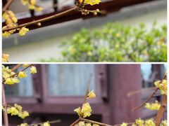 -苏州文旅花间堂·探花府酒店
