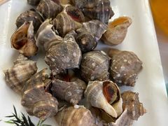 -宾朋海鲜饭庄(兴海路店)