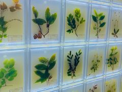 -广东中医药博物馆