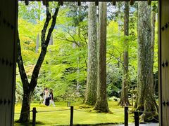 -三千院