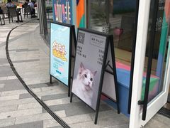 -飞行喵MR PILOT|猫舍·猫咖(静安大融城店)