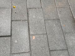 -黄鹤天厨·泡椒田鸡创始者(莲花店)