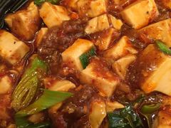 -陈麻婆豆腐总店