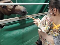 -李振强马术运动推广中心(南城店)