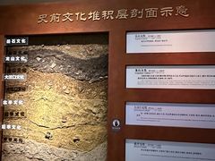 -临沂市博物馆