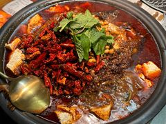 -探鱼·鲜青椒爽麻烤鱼(苏宁广场店)