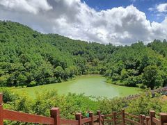 -广州白江湖森林公园