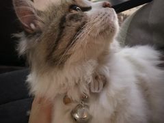 -五月木作·DIY木作文创体验店(北京路店)