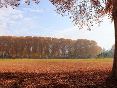 -河南省黄河迎宾馆