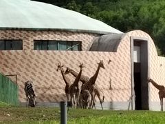 -哈尔滨北方森林动物园