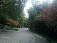 -苏州河梦清园环保主题公园