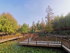 -五缘湾湿地公园