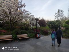 -兰溪青年公园