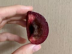 -上海尊茂酒店