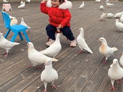 -南昌之星游乐场