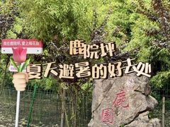 -鹿院坪生态旅游景区