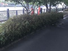 -灵福缘私房菜·农家菜(拈花湾·灵山大佛必推店)