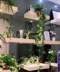 -克丽缇娜