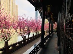 -望江楼公园