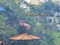 -昆明动物园