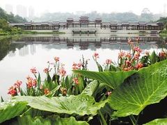 -重庆彩云湖湿地公园