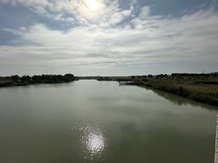 -西京湾花海