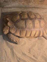 -Zoolung Zoolung动物主题公园(海信广场店)