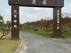-东平国家森林公园