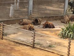 -昆明动物园