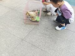 -马荣凯瑞世纪花园幼儿园
