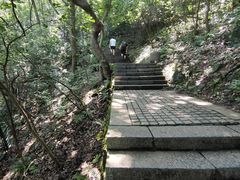 -紫金山山顶公园